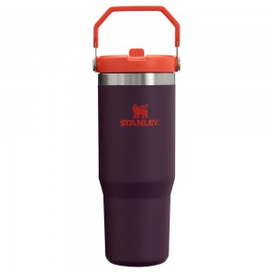 Purple Stanley The IceFlow Flip Straw Tumbler | 30 OZ | Insulated Water Water Bottles | 21478BAQG