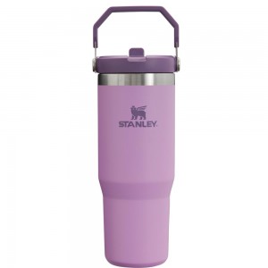 Purple Stanley The IceFlow Flip Straw Tumbler | 30 OZ | Insulated Water Water Bottles | 48109EWVU