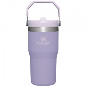 Purple Stanley The IceFlow Flip Straw | 20 OZ | Insulated Water | Sta Tumbler | 80295TLXU