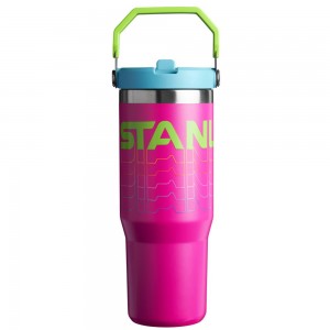 Purple Stanley The Reverb IceFlow™ Flip Straw Tumbler I 30 OZ Water Bottles | 79238USCN