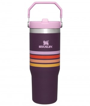 Purple Stanley The Varsity Iceflow™ Flip Straw | 30 OZ Tumbler | 85601YNMK