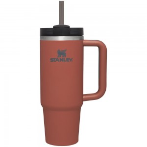 Red Rust Stanley Quencher H2.0 Travel Tumbler | Soft Matte | 30 OZ Water Bottles | 91783ATVI