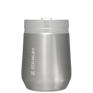 Stainless Steel Grey Stanley GO Everyday Insulated Tumbler | 10 OZ Water Bottles | 41870AUCL