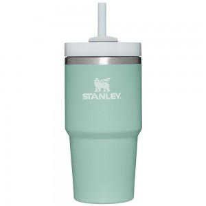 Turquoise Stanley Quencher H2.0 Travel Tumbler | 20 OZ Water Bottles | 45673KWOV