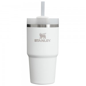 White Stanley Quencher H2.0 Travel Tumbler | 20 OZ Water Bottles | 59160KNVO