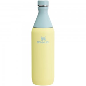 Yellow Stanley All Day Slim Bottle | 20 OZ Water Bottles | 62781AENU