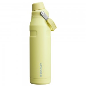 Yellow Stanley IceFlow Insulated Bottle with Fast Flow Lid | 36 OZ Water Bottles | 10938LPWY