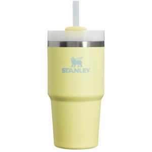 Yellow Stanley Quencher H2.0 Travel Tumbler | 20 OZ Water Bottles | 87312XZHV