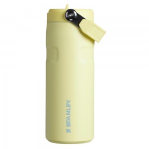 Yellow Stanley The IceFlow™ Bottle with Flip Straw Lid | 16 OZ Water Bottles | 31752JGSF