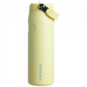 Yellow Stanley The IceFlow™ Bottle with Flip Straw Lid | 24 OZ Water Bottles | 83260OPDX