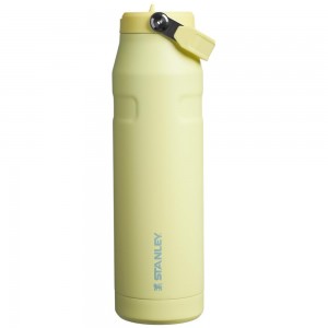 Yellow Stanley The IceFlow™ Bottle with Flip Straw Lid | 36 OZ Water Bottles | 35694TEJW