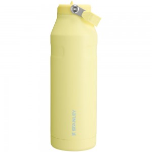 Yellow Stanley The IceFlow™ Bottle with Flip Straw Lid | 50 OZ Water Bottles | 43058XZJC