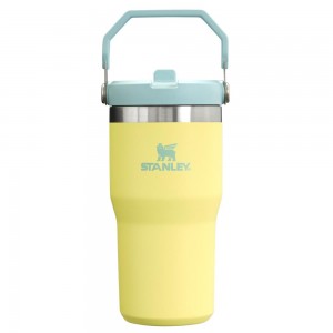 Yellow Stanley The IceFlow Flip Straw Tumbler | 20 OZ | Insulated Water Tumbler | Sta Water Bottles | 36845GSKX