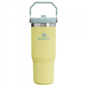 Yellow Stanley The IceFlow Flip Straw Tumbler | 30 OZ | Insulated Water Water Bottles | 01584VGWX