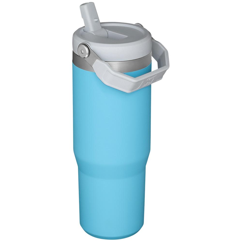 Blue Stanley The IceFlow Flip Straw Tumbler | 30 OZ | Insulated Water Water Bottles | 27164DFMI