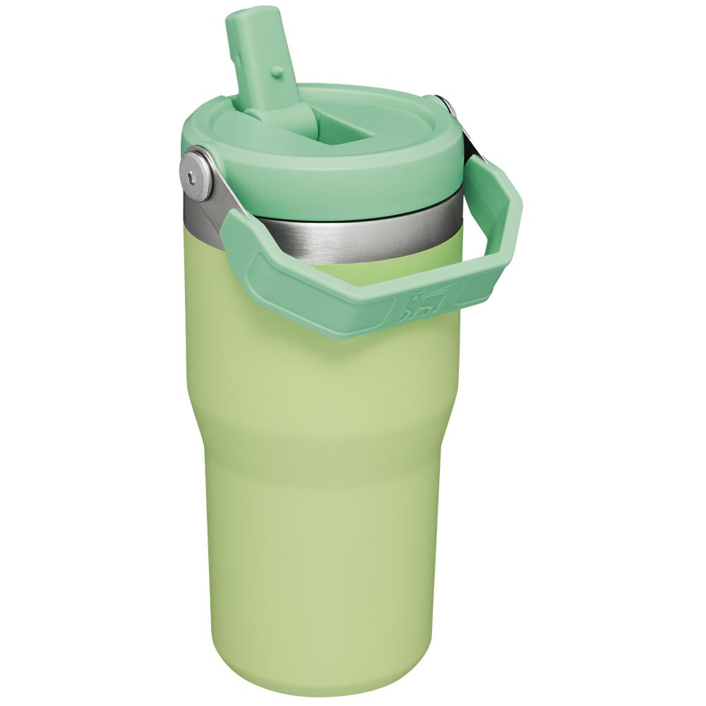 Green Stanley The IceFlow Flip Straw Tumbler | 20 OZ | Insulated Water Tumbler | Sta Water Bottles | 18569WBUX