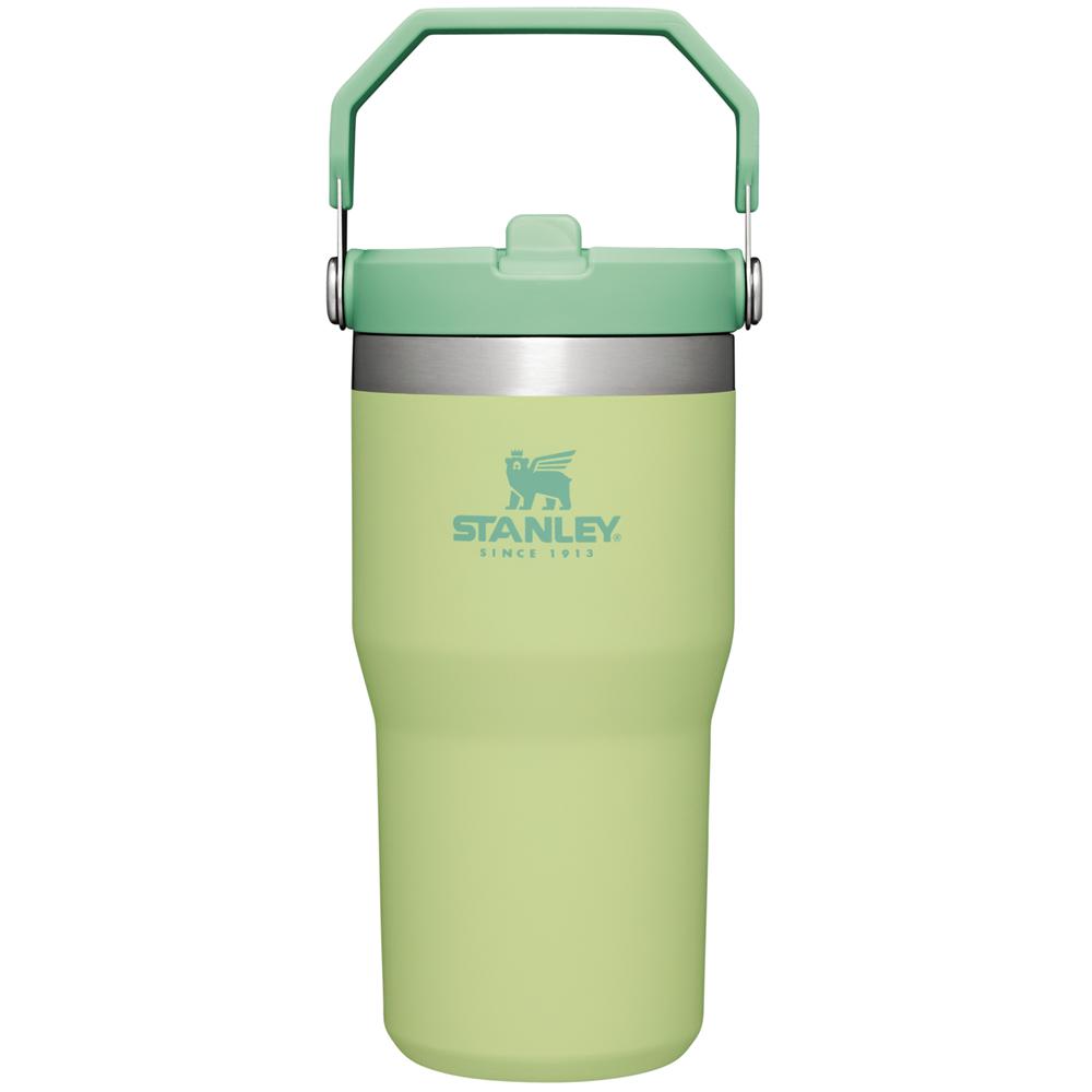 Green Stanley The IceFlow Flip Straw Tumbler | 20 OZ | Insulated Water Tumbler | Sta Water Bottles | 18569WBUX