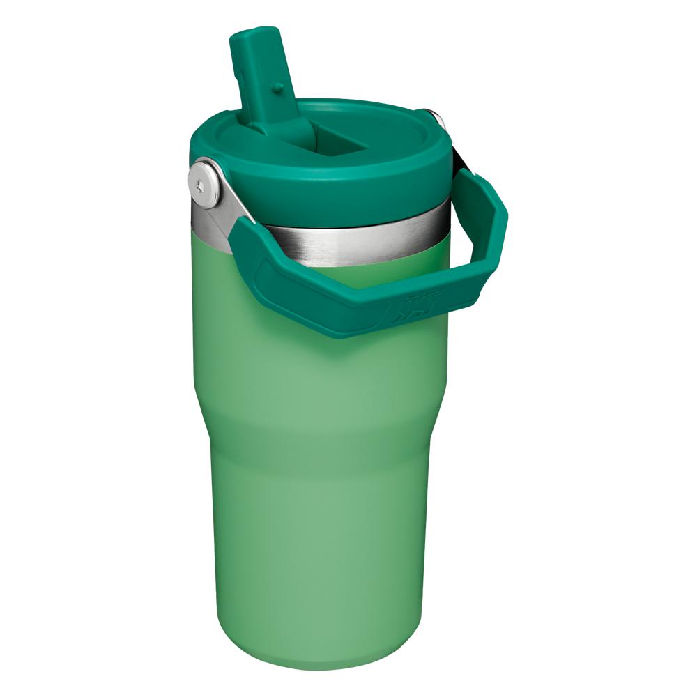 Green Stanley The IceFlow Flip Straw Tumbler | 20 OZ | Insulated Water Tumbler | Sta Water Bottles | 45930WIYQ