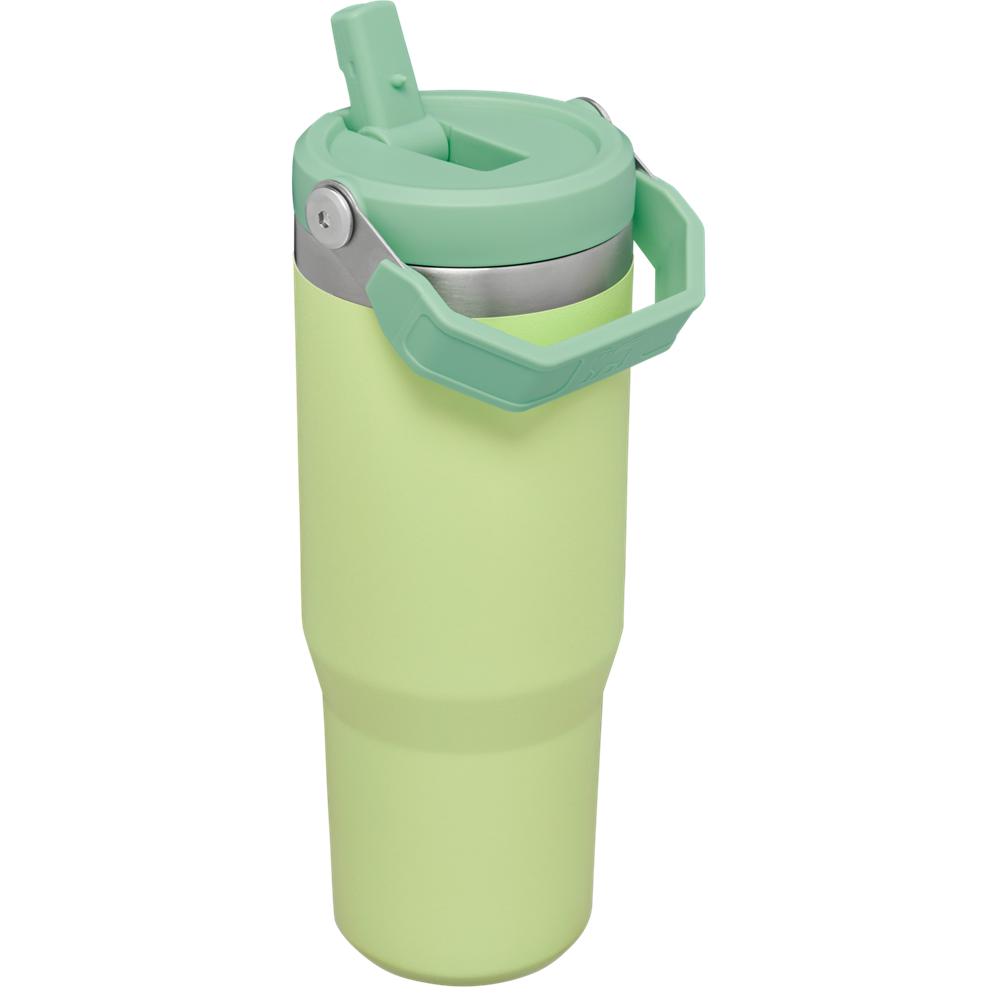 Green Stanley The IceFlow Flip Straw Tumbler | 30 OZ | Insulated Water Water Bottles | 61985TXLY