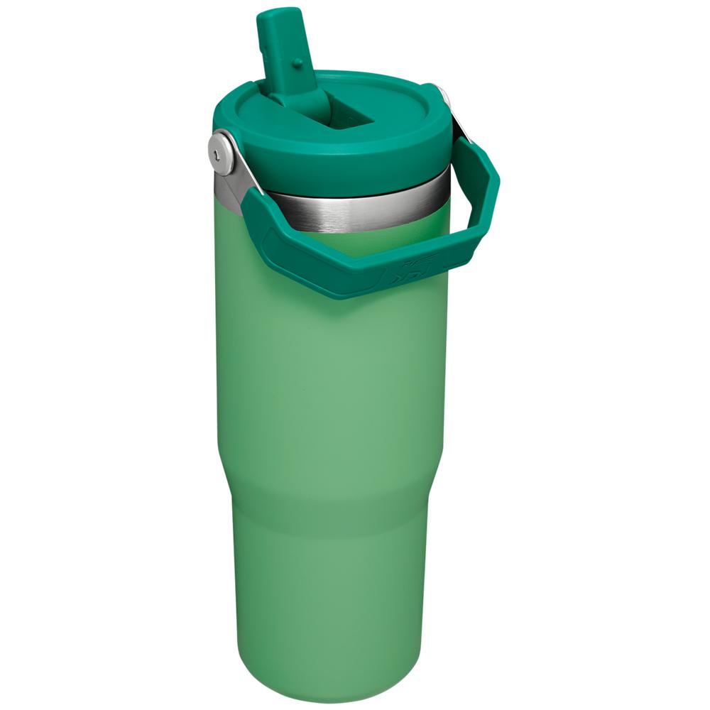 Green Stanley The IceFlow Flip Straw Tumbler | 30 OZ | Insulated Water Water Bottles | 49251LINY