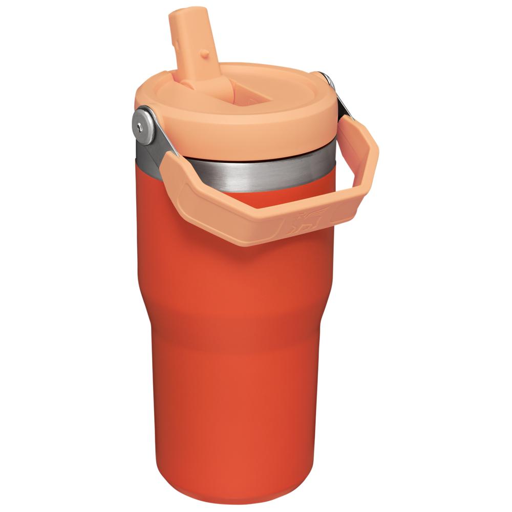 Orange Stanley The IceFlow Flip Straw | 20 OZ | Insulated Water | Sta Tumbler | 19573JMHF