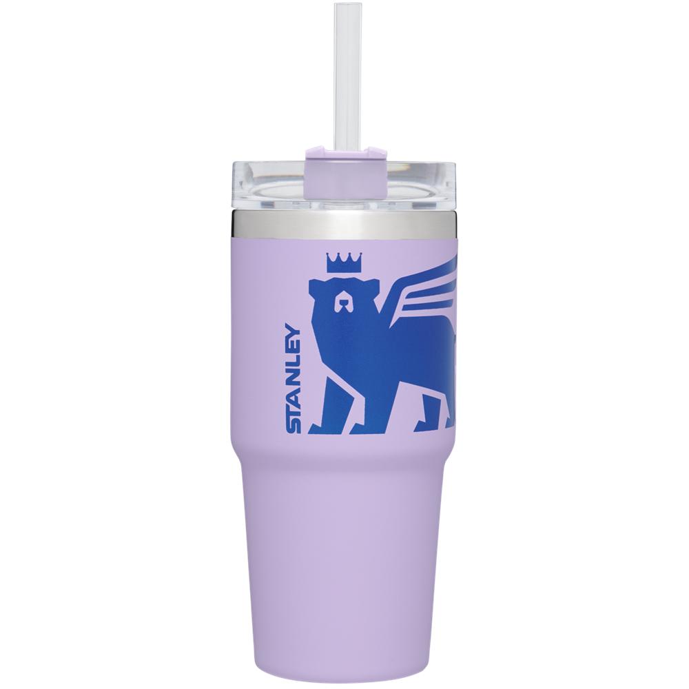 Purple Stanley Adventure Quencher Travel Tumbler | 14 OZ Water Bottles | 51746PCAV