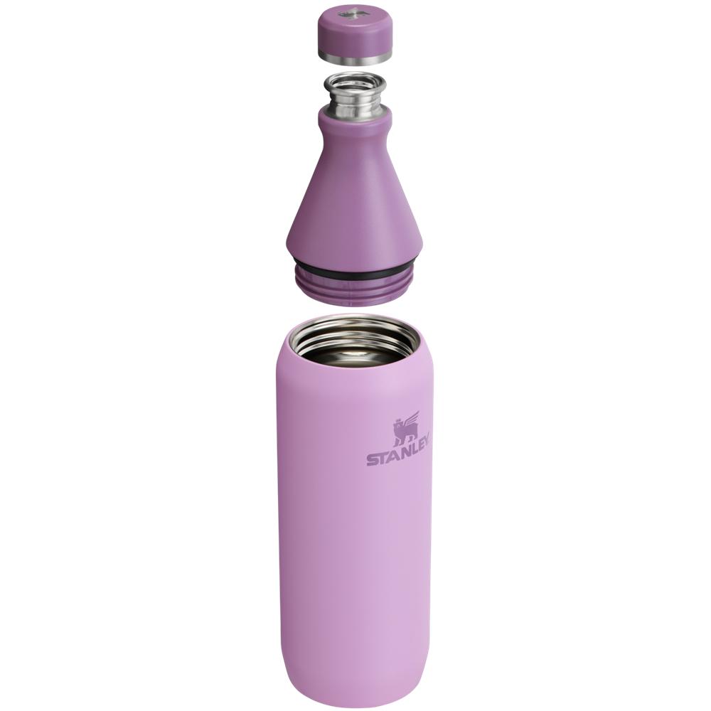 Purple Stanley All Day Slim Bottle | 20 OZ Water Bottles | 05271QECA