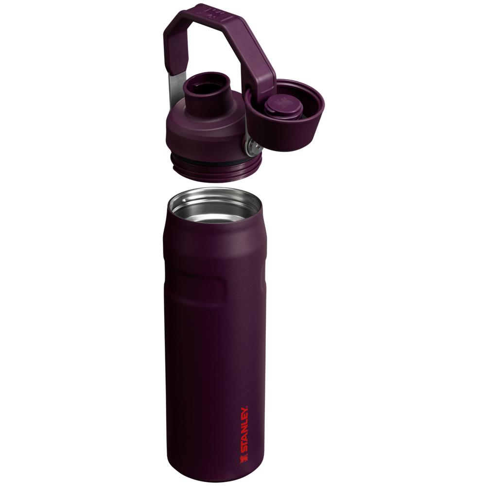 Purple Stanley IceFlow Insulated Bottle with Fast Flow Lid | 24 OZ Water Bottles | 89326NFLR