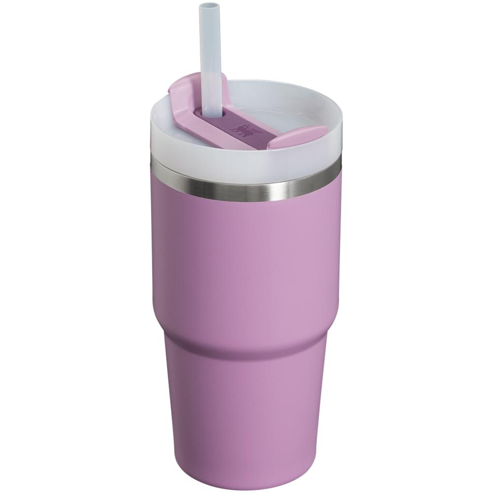 Purple Stanley Quencher H2.0 Travel Tumbler | 20 OZ Water Bottles | 32097HRGY