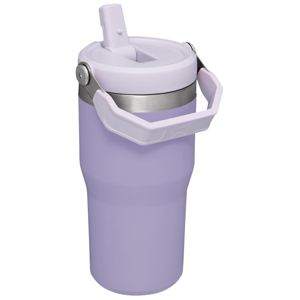 Purple Stanley The IceFlow Flip Straw Tumbler | 20 OZ | Insulated Water Tumbler | Sta Water Bottles | 61357ZDTK