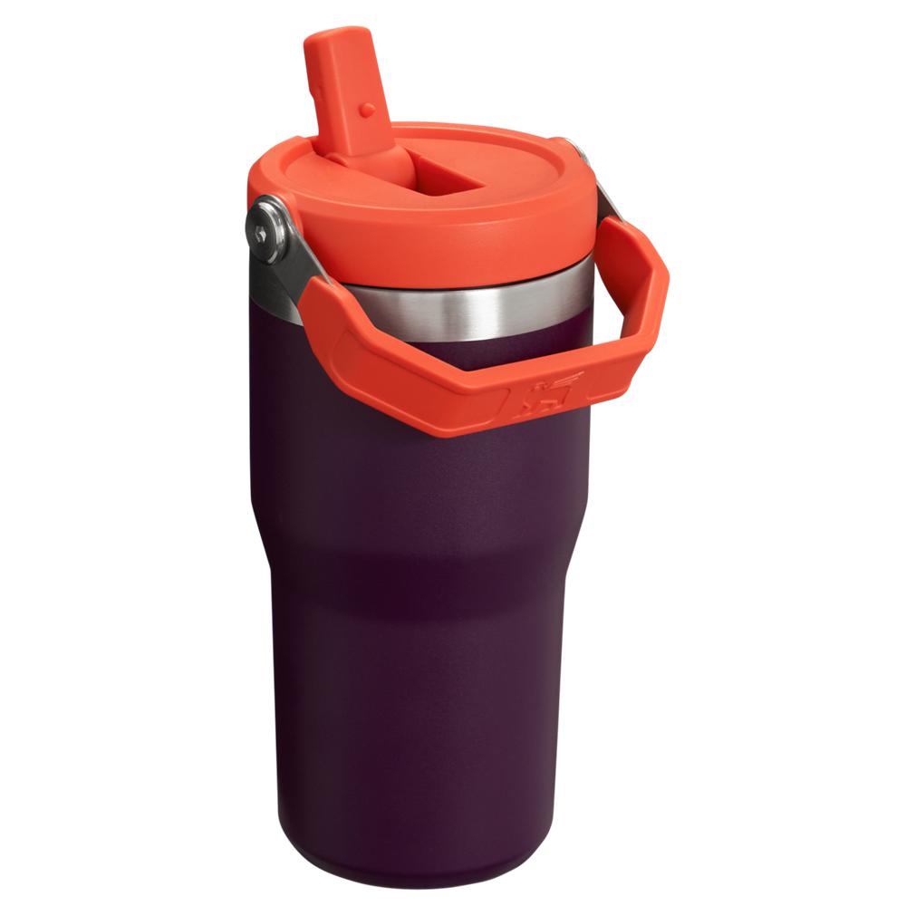 Purple Stanley The IceFlow Flip Straw Tumbler | 20 OZ | Insulated Water Tumbler | Sta Water Bottles | 14529PALC