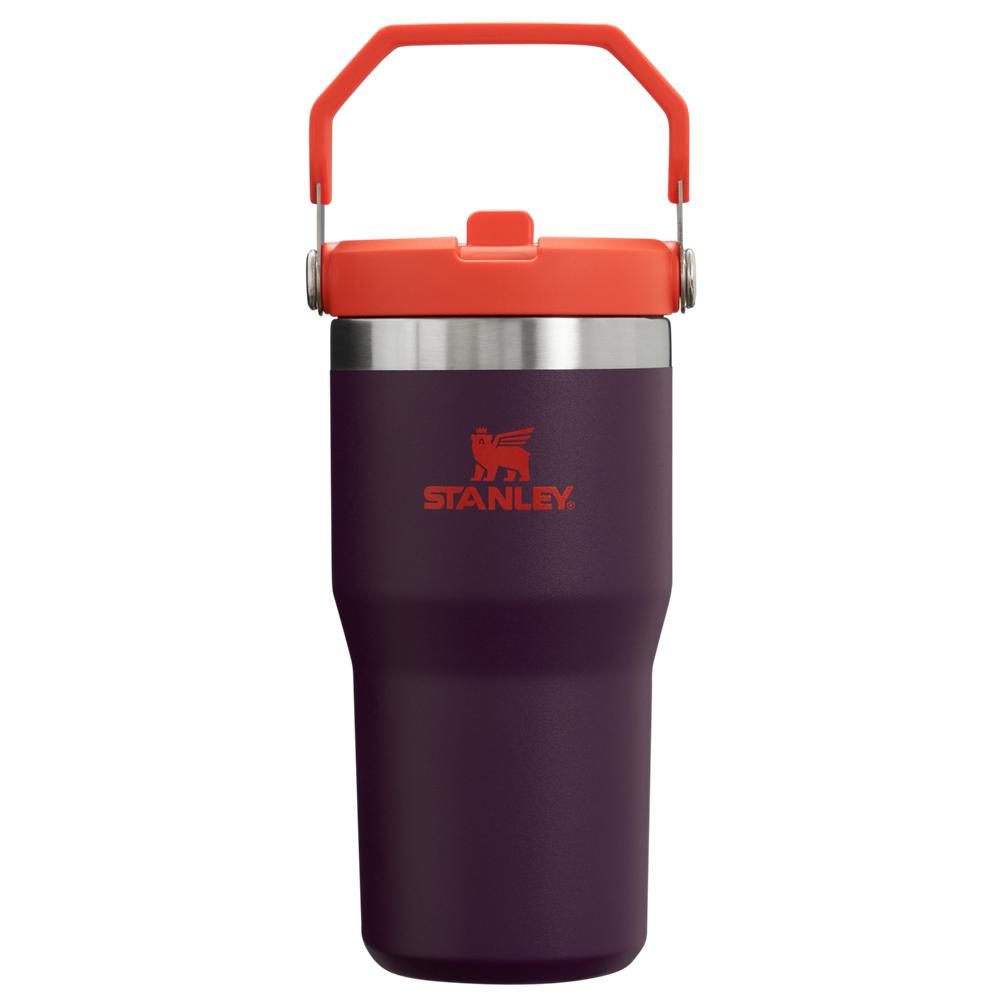 Purple Stanley The IceFlow Flip Straw Tumbler | 20 OZ | Insulated Water Tumbler | Sta Water Bottles | 51847ALCD