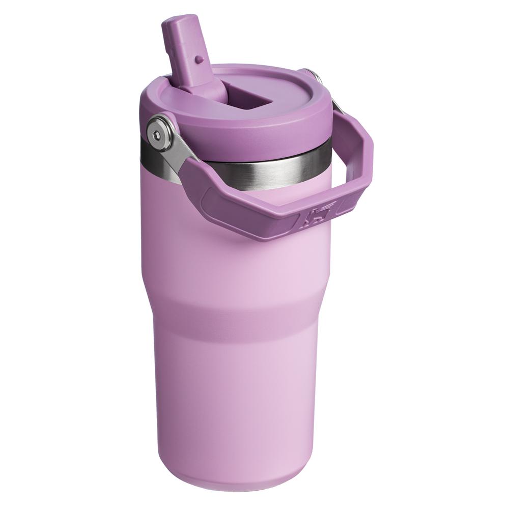 Purple Stanley The IceFlow Flip Straw Tumbler | 20 OZ | Insulated Water Tumbler | Sta Water Bottles | 30682MCIE